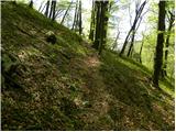 Kraljev hrib - Gradišče (Velika planina)